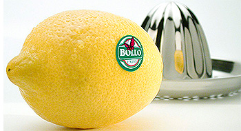 Bollo International Fruits