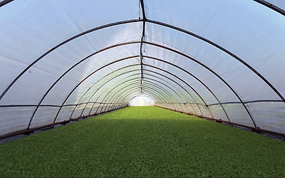 Trasformatori Tabacco Italia