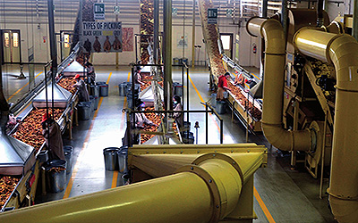 Trasformatori Tabacco Italia