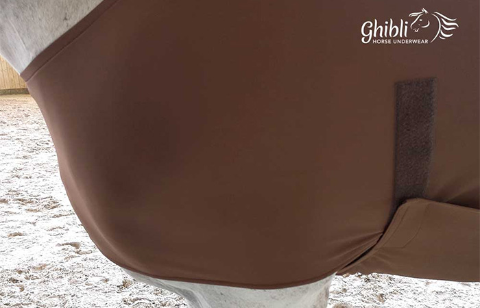 Ghibli Horse Underwear
