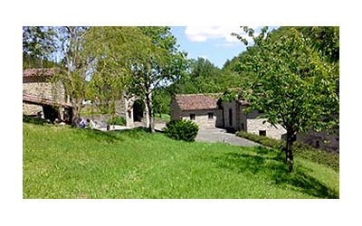 FNI