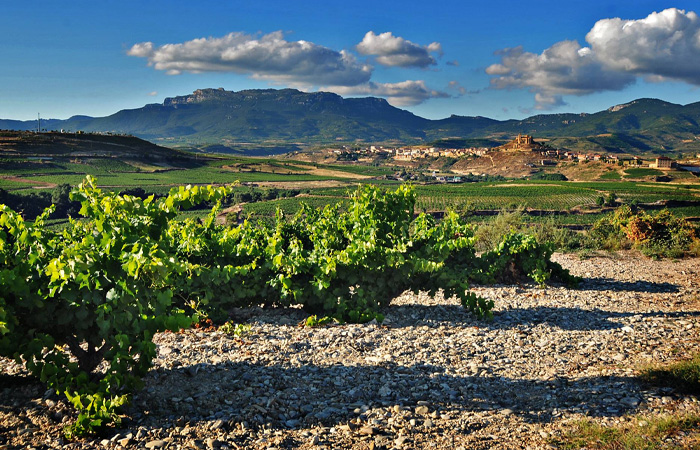 Spanish wineries