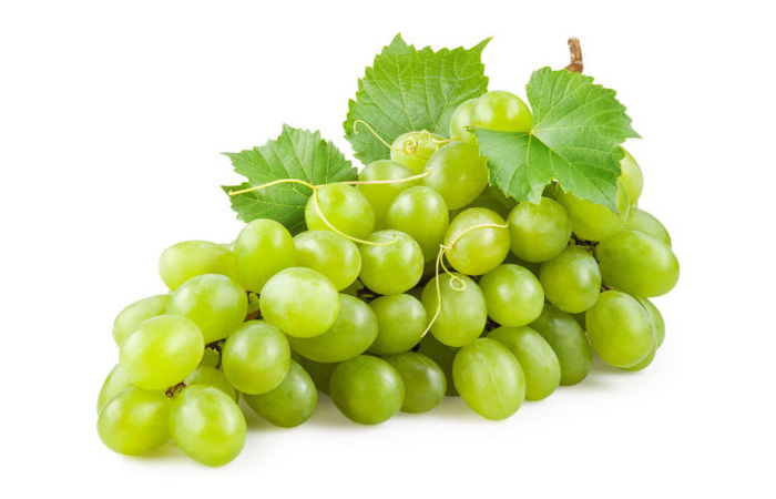Vendita
