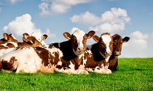 AgriBio