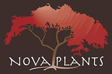 Nova Plants