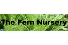 The Fern Nursery