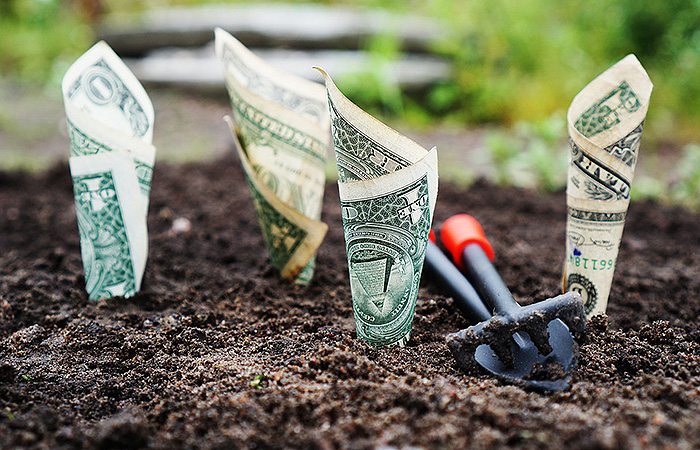 Federated Investors