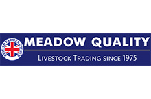 Meadow Quality Limited
