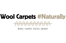 Wool Carpet Focus Group