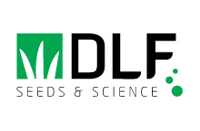 DLF Seeds