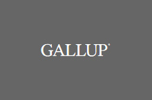 Gallup GmbH
