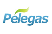 Pelegas Ltd