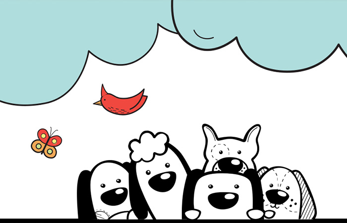 Pet