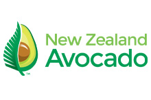 New Zealand Avocado