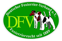 Foxterrier GH/DH