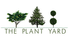 The Plant Yard Ltd