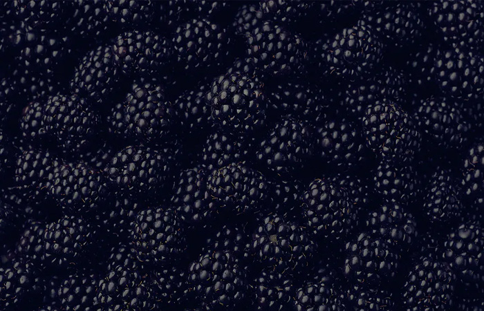 Berryworld