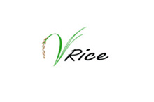 V Rice International Co. Ltd