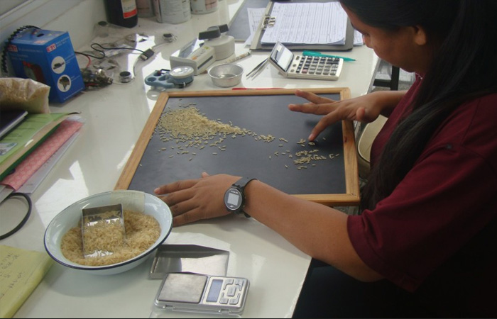 V Rice International