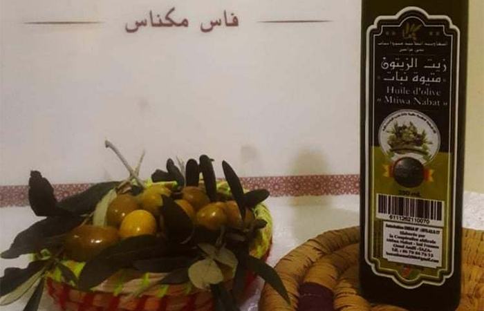 Production d'Huile d'Olive