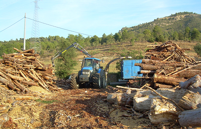 Trabajos Forestales