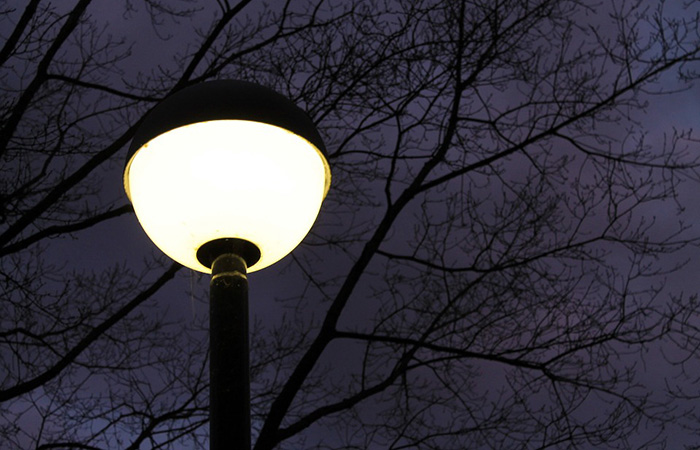 Lighting Distributor