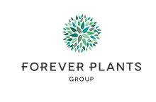 Forever Plants Group - Air So Pure