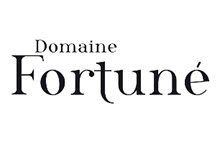 SAS Domain Fortuné