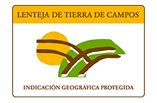 Lenteja de Tierra de Campos IGP