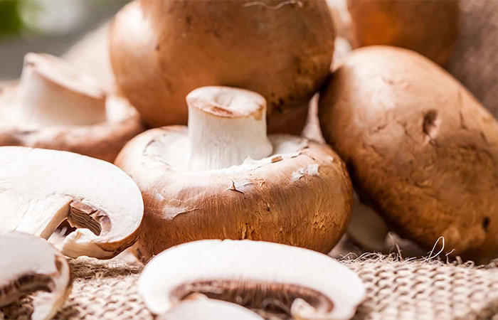 Pilzkulturen Wesjohann