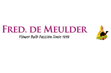 Fred. de Meulder Export B.V. Dahlias
