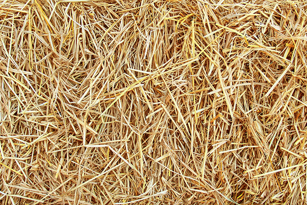 Agricultural Raw Materials