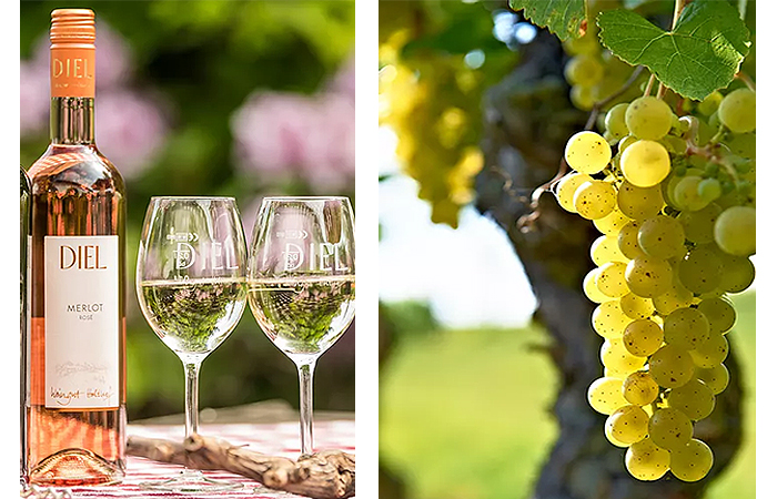 Weingut Holthof