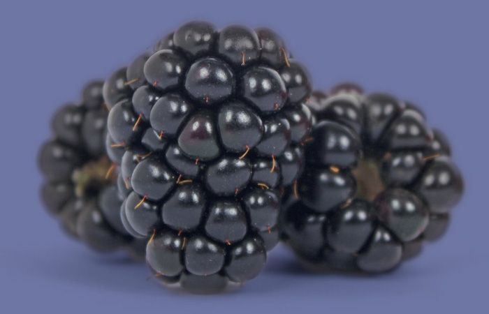 berries