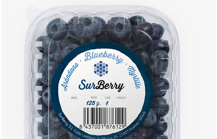 Surberry