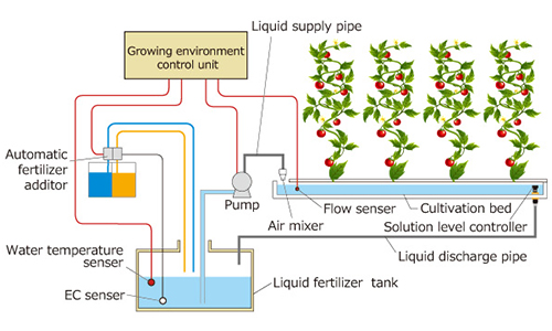fertilizers