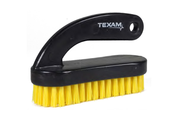 texam international