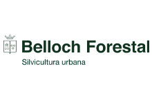 Belloch Forestal Sl