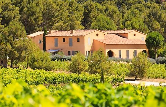 villa minna vineyard