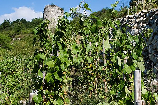 domaine lombard