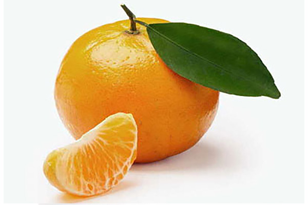 Fruits