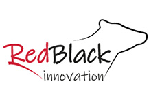 Red Black Innovation