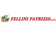Fellini Patrizio S.r.l.