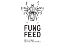 Fung Feed