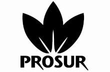 PROSUR, S.A.U.