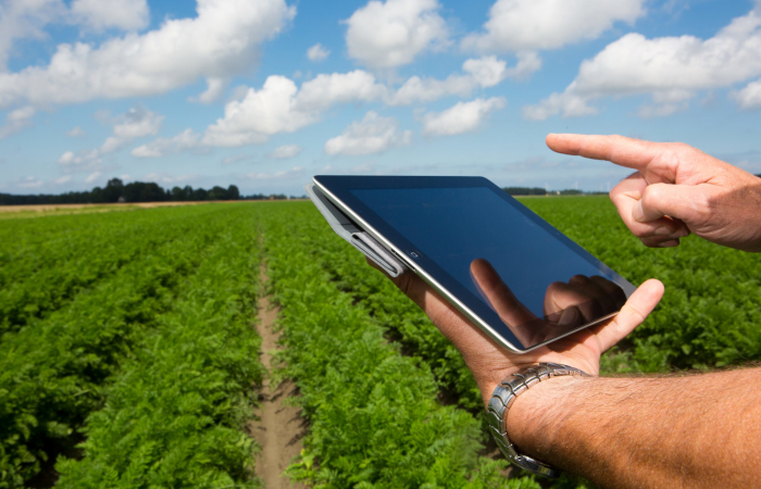 AgroVision supplies specialized software for the international agricultural software