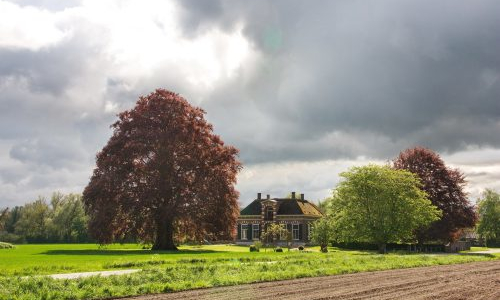Agrarisch Erfgoed Nederland