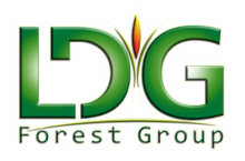 LDG Forest Group A/S