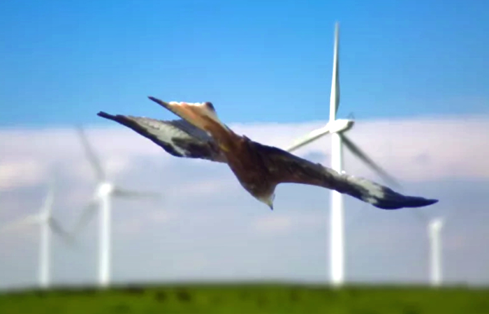 Système de detection avifaune et chiroptère dans un contexte éolien