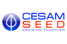 Cesam Seed